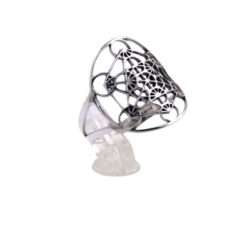 Anillo Plata de Ley 925  METATRON Plata de Ley REF 690 - Imagen 3