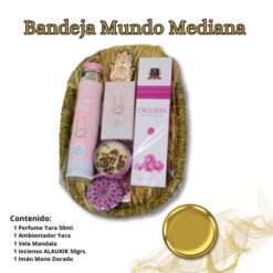 Cesta Regalo  Bandeja Mundo Mediana