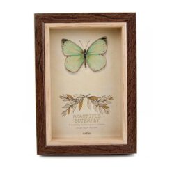 Portafoto 10x15 - OSCURO REF 200