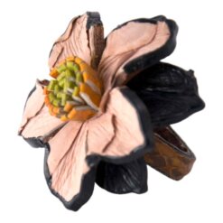 ANILLO CUERO REF 100-27 - Mod  2