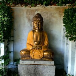 BUDA 30 CMS REF  1090 -12 - NARANJA