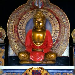 BUDA 22 CMS REF 590 - 11 - ROJO