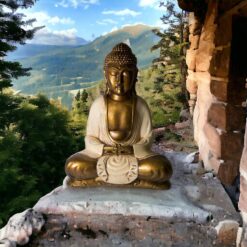 BUDA 30 CMS REF  1090 -12 - BLANCO