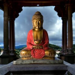 BUDA 30 CMS REF  1090 -12 - ROJO