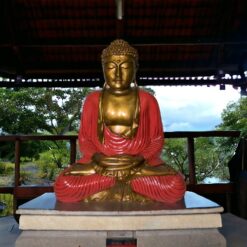 BUDA 50 CMS REF 3290 - 14 - ROJO