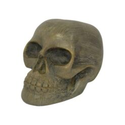 Cráneo 20 cm REF  24