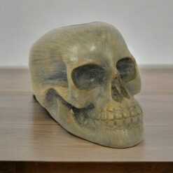 Cráneo 20 cm REF  24