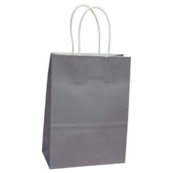 Bolsa Grande 25x33 Kraft - GRIS - 12PCS