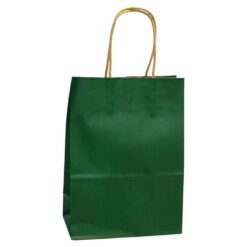 Bolsa Grande 25x33 Kraft - VERDE - 12PCS