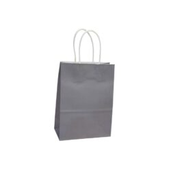 Bolsa Mediana 21x27 Kraft - GRIS - 12PCS