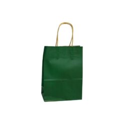 Bolsa Mediana 21x27 Kraft - VERDE - 12PCS