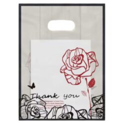 Bolsa Plástico B 100pcs 25x35 - mod 34