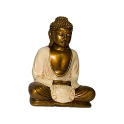 Alternative view of BUDA 22 CMS REF 590 - 11 - BLANCO