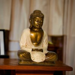 BUDA 22 CMS REF 590 - 11 - BLANCO