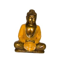 Alternative view of BUDA 22 CMS REF 590 - 11 - NARANJA