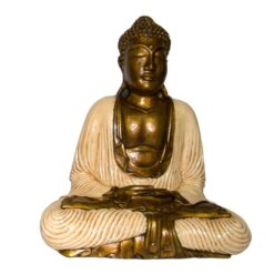 Alternative view of BUDA 40 CMS REF 2690 - 13 - BLANCO