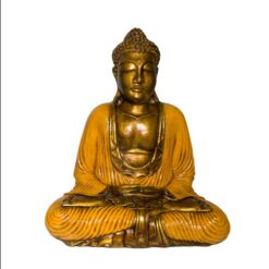 Alternative view of BUDA 40 CMS REF 2690 - 13 - NARANJA