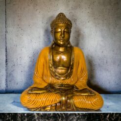 BUDA 40 CMS REF 2690 - 13 - NARANJA