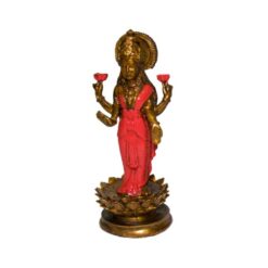Alternative view of LAKSHMI REF 590 - 18 - ROJO