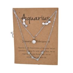 Conjunto Acero Pendiente más colgante Acuario