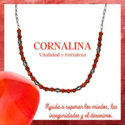 Collar Acero con Cornalina - 6